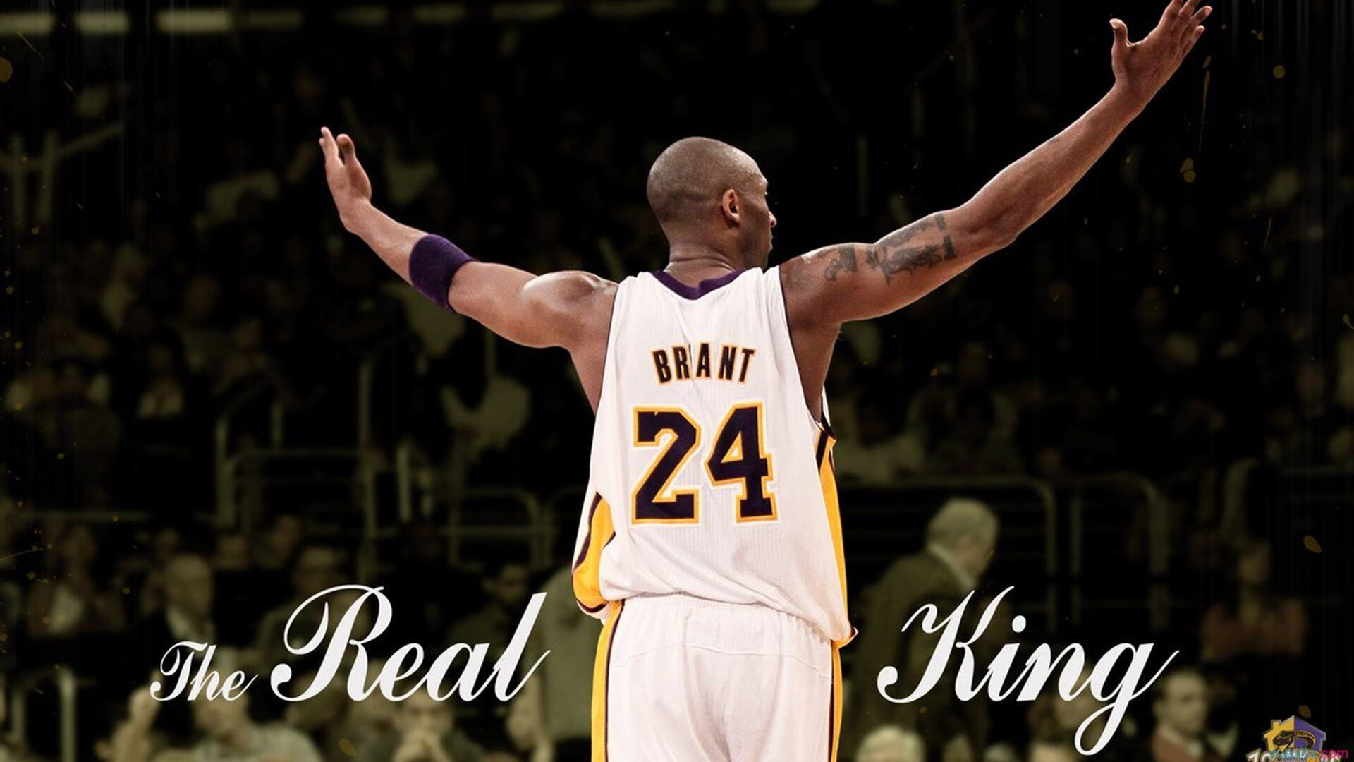 mk体育网址-体育营销新玩法：内容创作与粉丝社群共振，体育营销十大经典案例