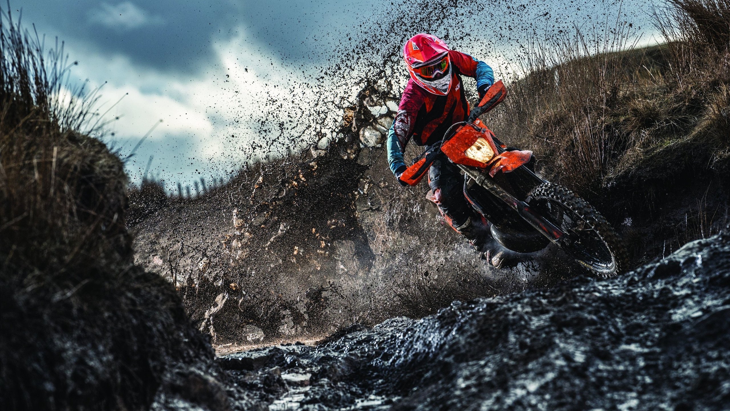 哈兰德与福登成为欧冠焦点，曼城大胜多特蒙德，哈兰德和曼城